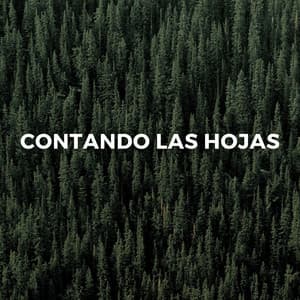 Contando Las Hojas - Ambiente natural