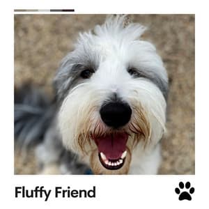 Fluffy Friend - Music for Calming Dogs