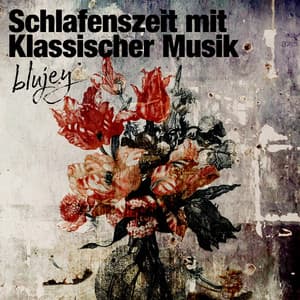 Schlafenszeit mit Klassischer Musik - blujey