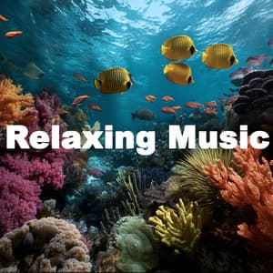 ! ! ! ! Relaxing Deep Meditation - Música Relajante