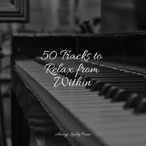 Soft Melodies for Complete Relaxation and Anxiety Relief - Los Pianos Barrocos