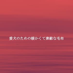 愛犬のための暖かくて素敵な毛布 - Ambient Jazz Lounge