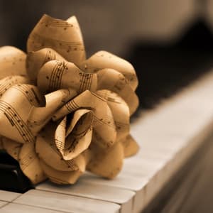 Piano Music for Calm and Mindful Meditation - Meditative Piano