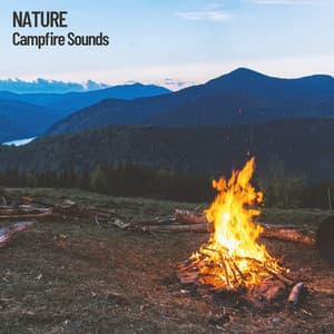 Nature: Campfire Sounds - Nature Recordings