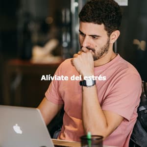 Alíviate del estrés - Dinner Music Chillout