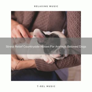 Stress Relief Countryside Noises For Anxious, Beloved Dogs - Pets Total Relax