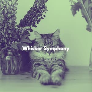 Whisker Symphony - For Cats Only