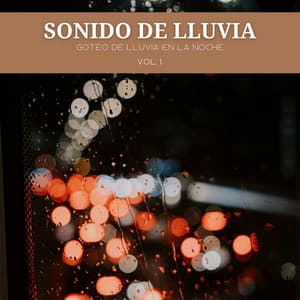 Sonido De Lluvia: Goteo De Lluvia En La Noche Vol. 1 - Pajaros Tropicales