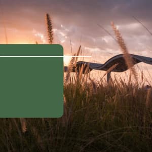 Self Care Days - Quebec Jazz Lounge