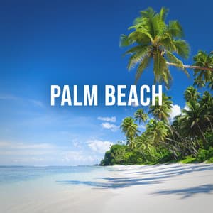 Palm Beach: Enjoy the Soundscape of a Caribbean Beach, White Noise to Dream - Relaxing White Noise Sounds