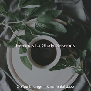 Feelings for Study Sessions - Coffee Lounge Instrumental Jazz
