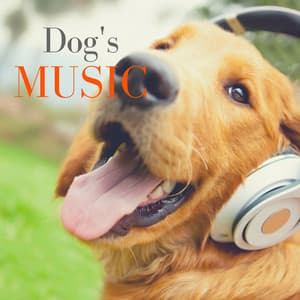 Dog’s Music – Soothing Instrumental with Nature Sounds for Relaxation, Anti Stress - Music for Dog's Ears