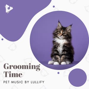 Grooming Time - Pet Music by Lullify