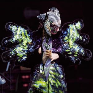 Vulnicura - Björk