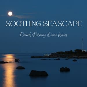 Soothing Seascape: Nature's Relaxing Ocean Waves - Ocean