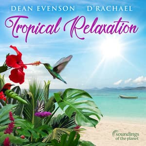 Tropical Relaxation - Dean Evenson