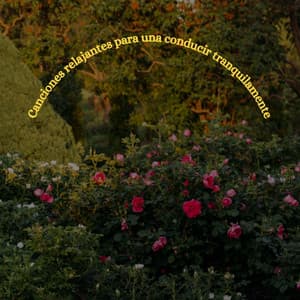 Canciones relajantes para una conducir tranquilamente - Work from Home