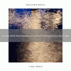 A Lovely White Noise Specially For Lay down Good Karma, And Nap A Latte - De-Stress Calming Baby Sounds