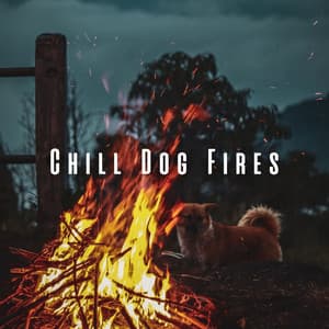 Chill Dog Fires: Binaural Sounds for a Relaxed Canine Atmosphere - Rushing Blaze Fire Sounds Library
