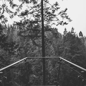 Music for Morning Yoga - Heavenly ASMR Music - Yoga Music Play List