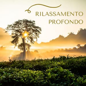 Rilassamento profondo: antidoto per l'ansia e lo stress - Calma Interiore