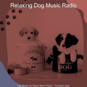 Hip Music for Mans Best Friend - Trumpet Jazz - Relaxing Dog Music Radio