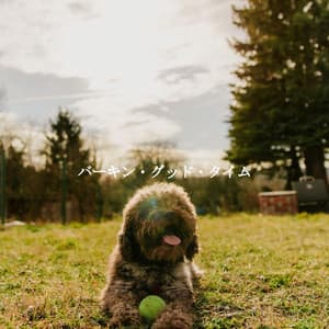 バーキン・グッド・タイム - New York Jazz Trio