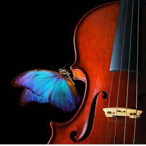 Orchestral Music for Cats' Serene Nighttime's - Jason Humphries