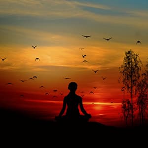 Twilight Nature Meditation: Harmonic Hooting Owl Soundscape - Neightbirds