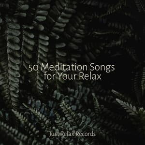 50 Meditation Songs for Your Relax - Sleepy Night Music