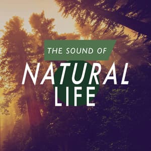 The Sound of Natural Life - Sound Library XL