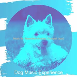Music for Separation Anxiety - Dog Music Experience