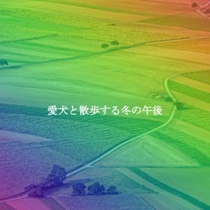 愛犬と散歩する冬の午後 - Coffee House Guitar Jazz