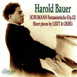 Schumann, Liszt & Grieg: Piano Works - Harold Bauer