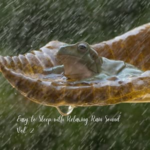 Easy to Sleep with Relaxing Rain Sound Vol. 2 - Binaural Beats Brain Waves
