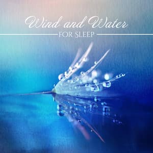 Wind and Water for Sleep - Sleeping Music Zone