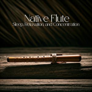 Native Flute - Sleep, Relaxation, and Concentration - Billie Calmish