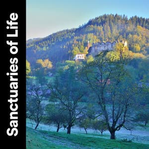 Sanctuaries of Life - Nature Sound Collection
