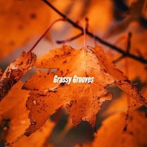 Grassy Grooves - Boutique Hotel Music