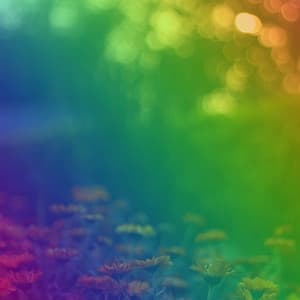 Background Music for Team Choices - Lofi Matt