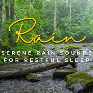 Tranquil Rain Slumbers: Serene Rain Sounds for Restful Sleep - Rain In Spain