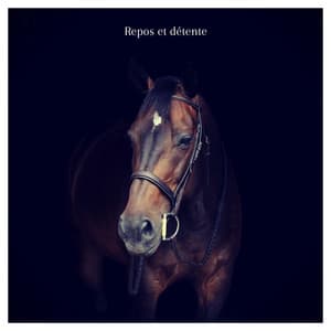 Repos et détente - Spa Musique Massage