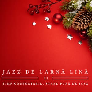 Jazz de Larnă Lină: Timp Confortabil, Stare Pură de Jazz, Sesiune Elegantă de Restaurant - Smooth Jazz Journey Ensemble