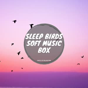 Sleep Birds, Soft Music Box - Circle of Relaxation