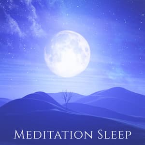 Meditation Sleep: Sounds for Healthy Sleep, Fall Asleep Fast, Wake Up Refreshed - Sleeping Music Zone