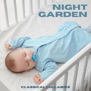Night Garden: Baby Sleep Music - Classical Lullabies