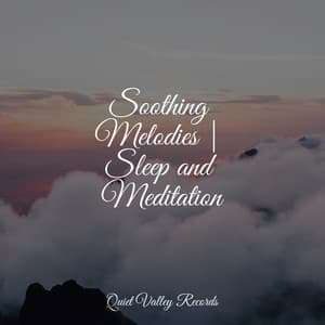 Soothing Melodies | Sleep and Meditation - Study Music & Sounds