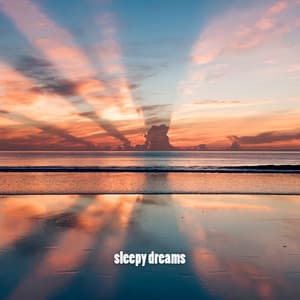 sleepy dreams - Study Music For Concentration
