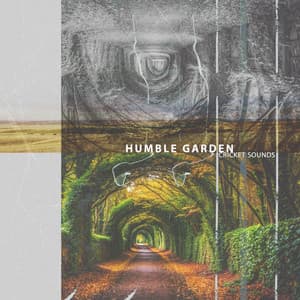 Humble Garden - Cricket Sounds