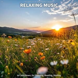 #01 Relaxing Music to Calm Down, for Sleeping, Reading, Healing - Relaxing Music for Cats